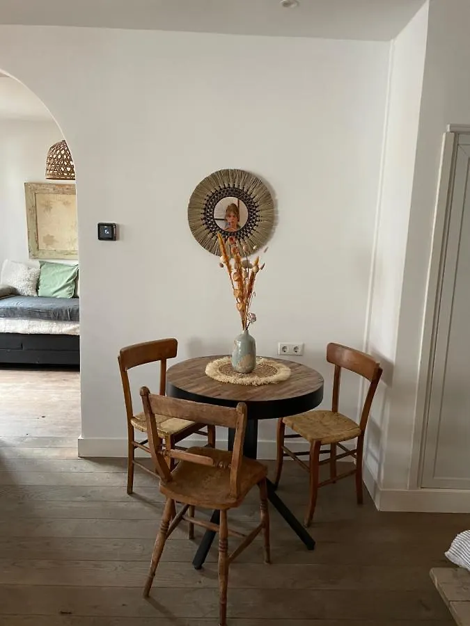 Апартаменты Appartement Zuid Зандфорт