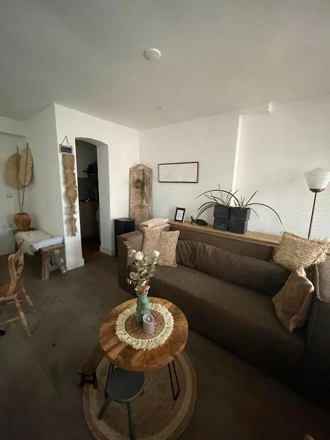 Appartement Zuid Зандфорт 0*,