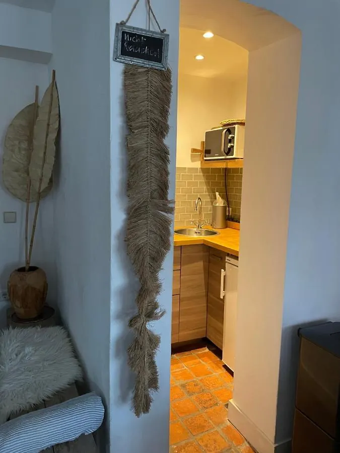 Апартаменты Appartement Zuid Зандфорт